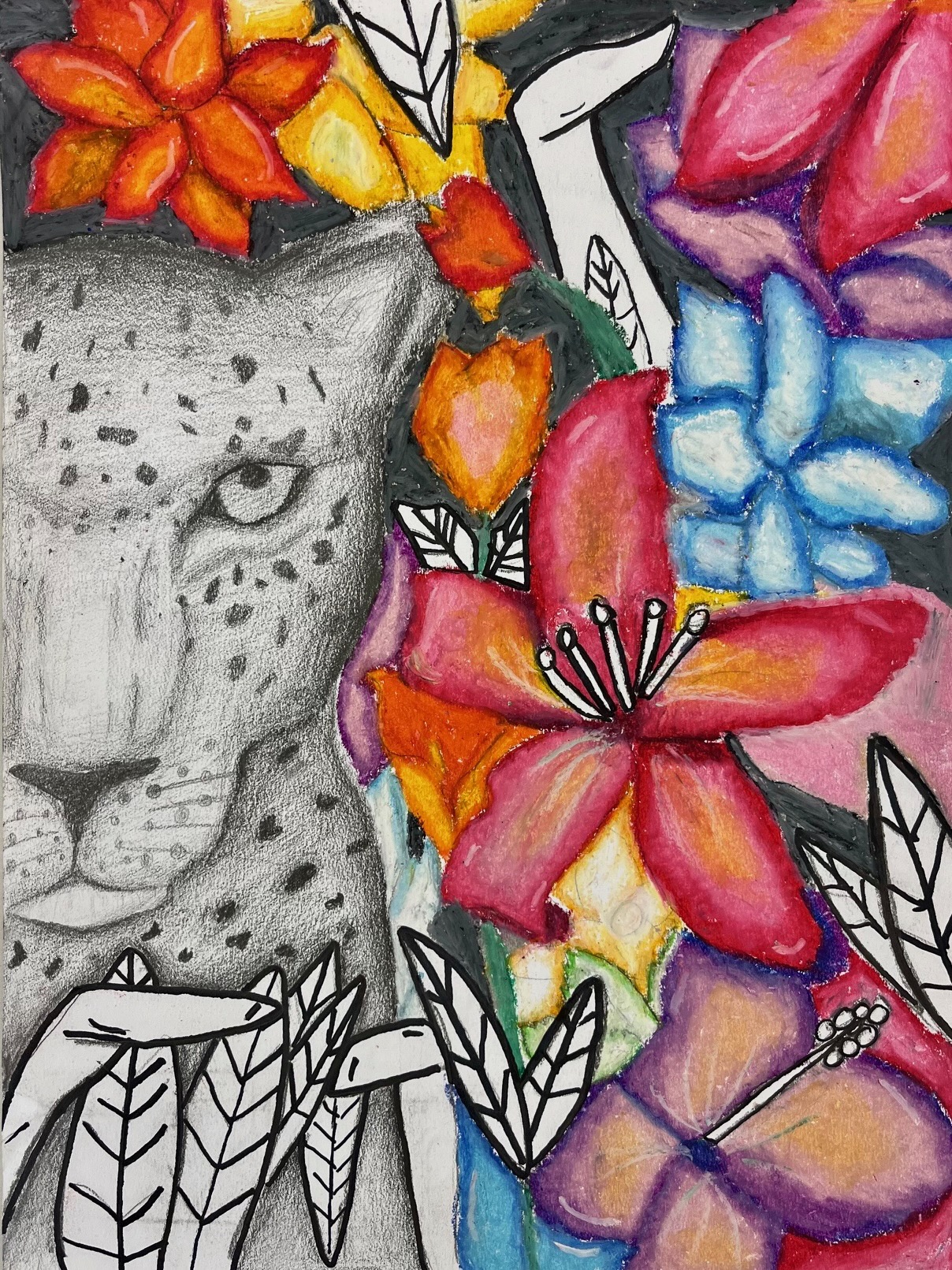 Split composition with graphite leopard on the left and colorful oil pastel flowers on the right